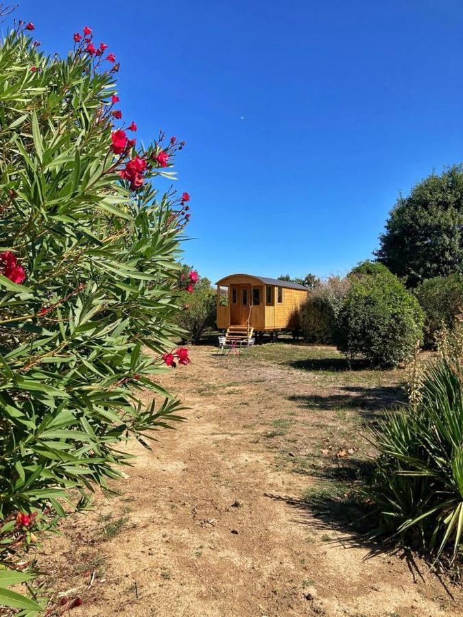 La roul'hôte dépote Monbéqui Extérieur photo